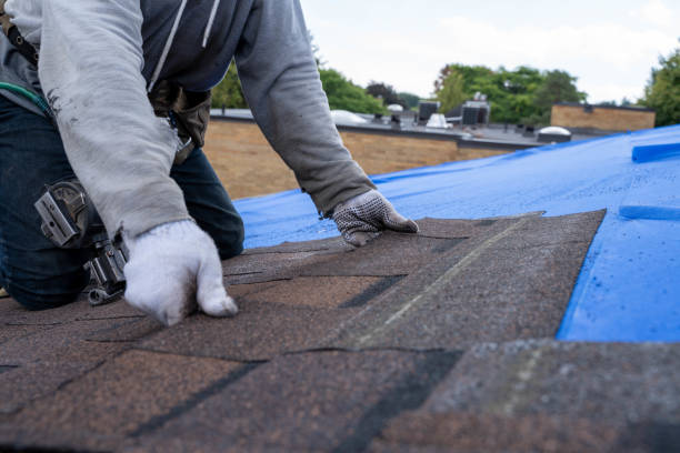 Best Roof Leak Repair  in Briarcliff, TX