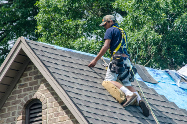 Best Local Roofing Companies  in Briarcliff, TX
